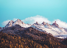 开云体育APP：让体育热爱在掌心绽放的全新体验